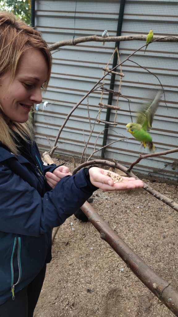 Vogel frisst aus der Hand in der Greifvogelstation Hellenthal