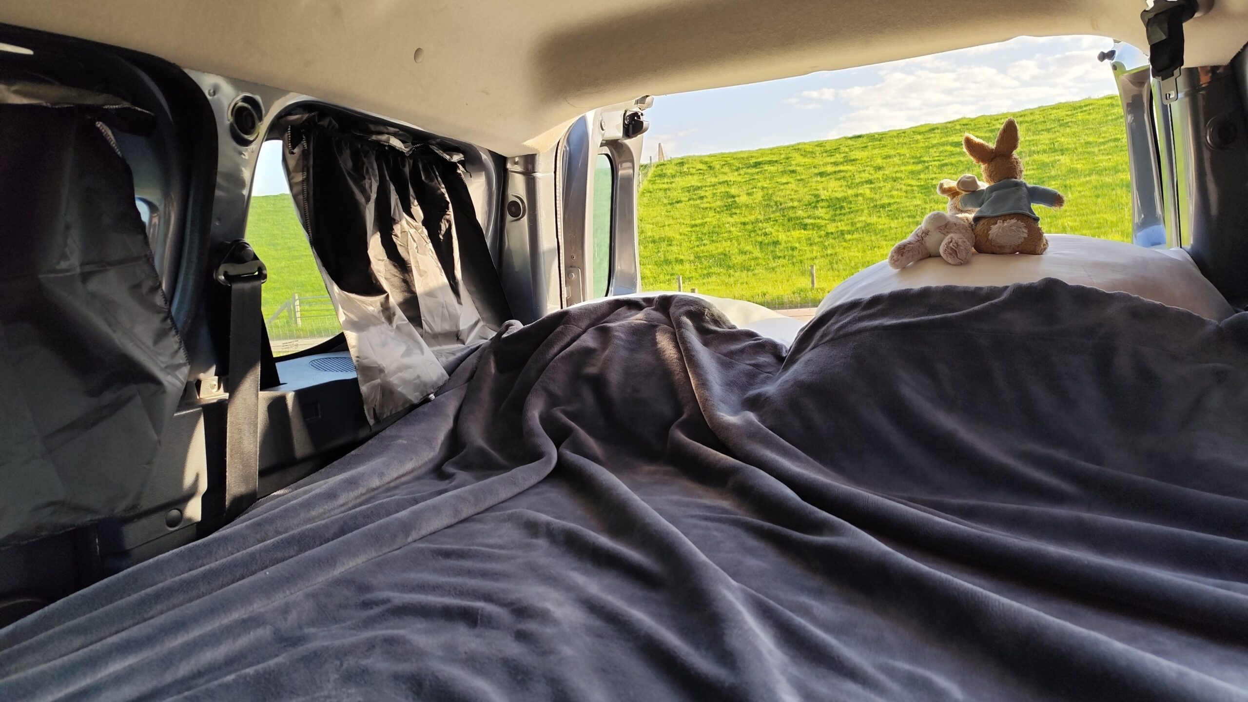 IMG 20240518 074047 edited scaled