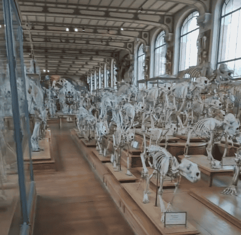Naturkundemuseum Paris