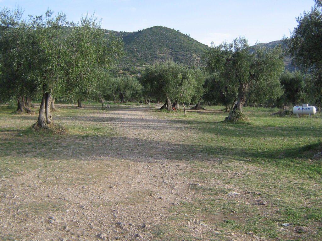 Camping am Gargano – unsere Erfahrungen campingplatz fontana della rose 5 campingplatz fontana della rose