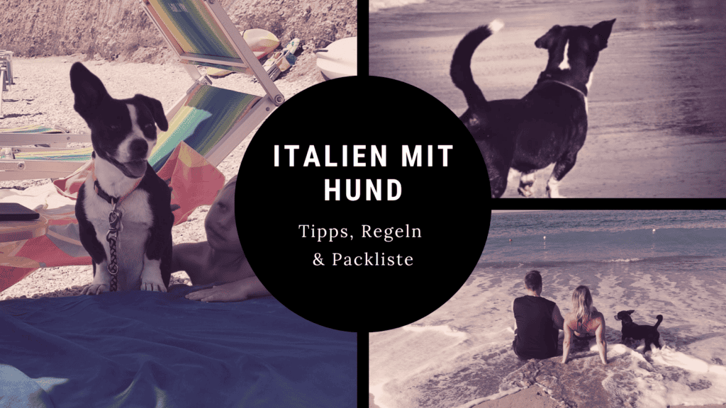 Italien mit Hund – Strand, Camping und Tipps für den Urlaub mit Hund