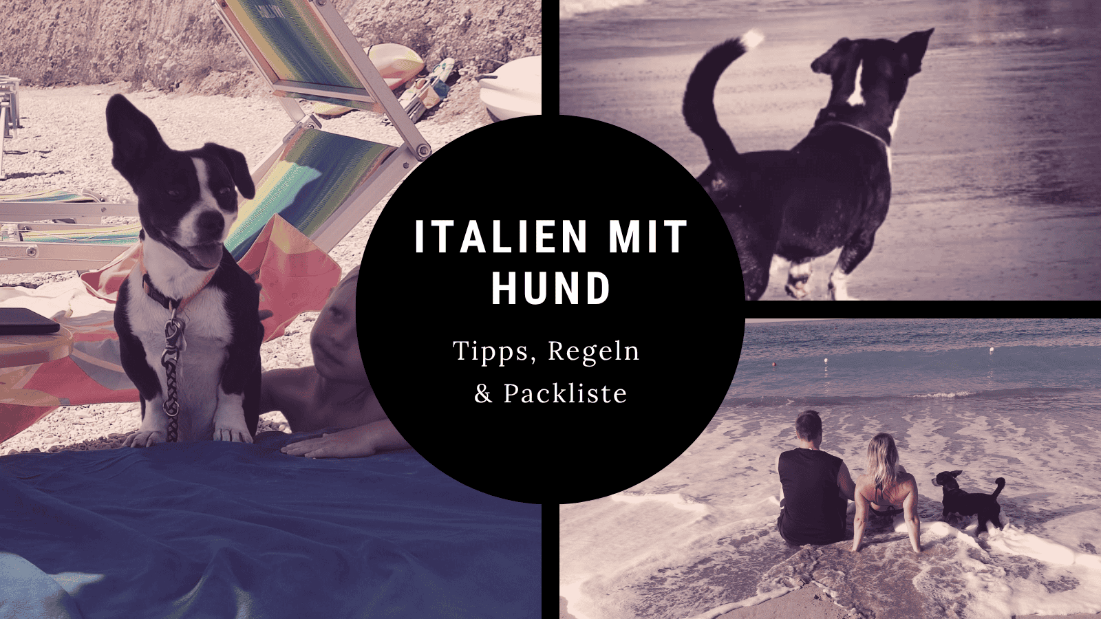 Italien mit Hund: Tipps, Regeln & alles für deinen Urlaub italien mit hund tipps regeln packliste Italien mit Hund – Strand, Camping und Tipps für den Urlaub mit Hund