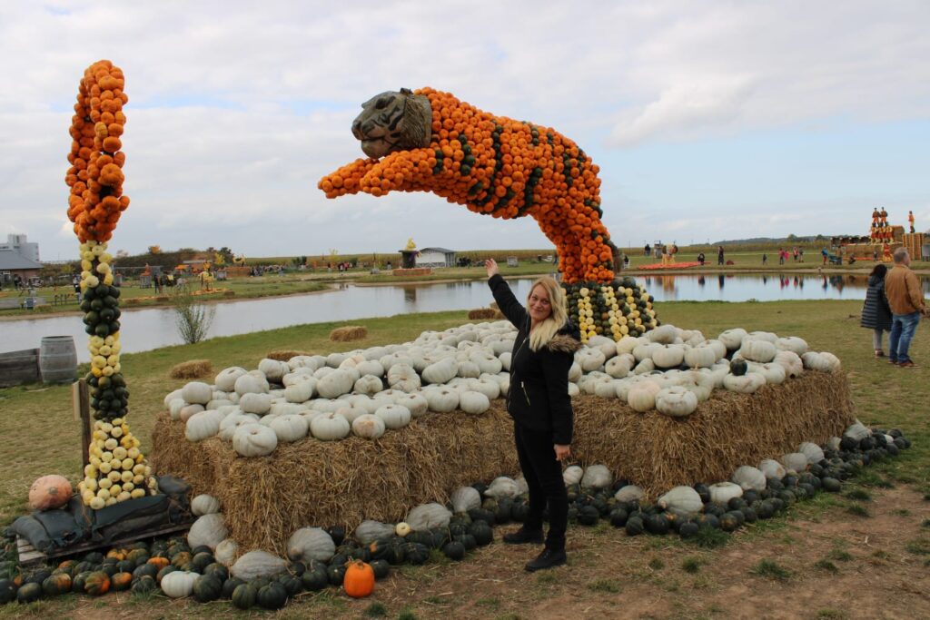 krewelshof mechernich kommern kuerbisfest und maislabyrinth 05