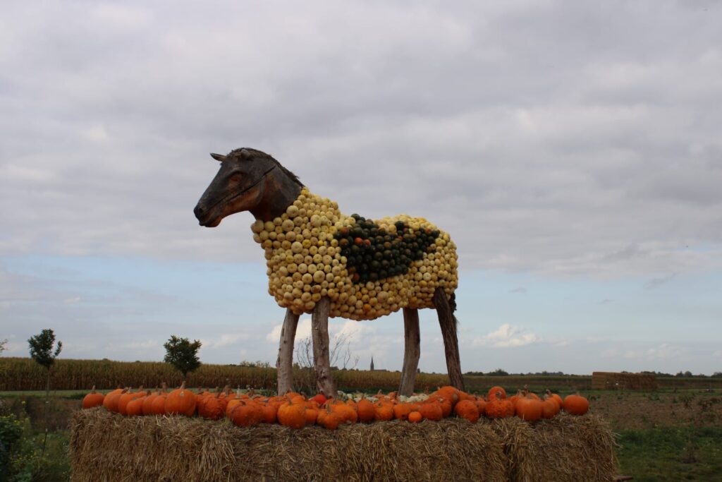 Pferdeskulptur aus Kürbissen auf dem Krewelshof in Mechernich-Kommern bei der Kürbisschau