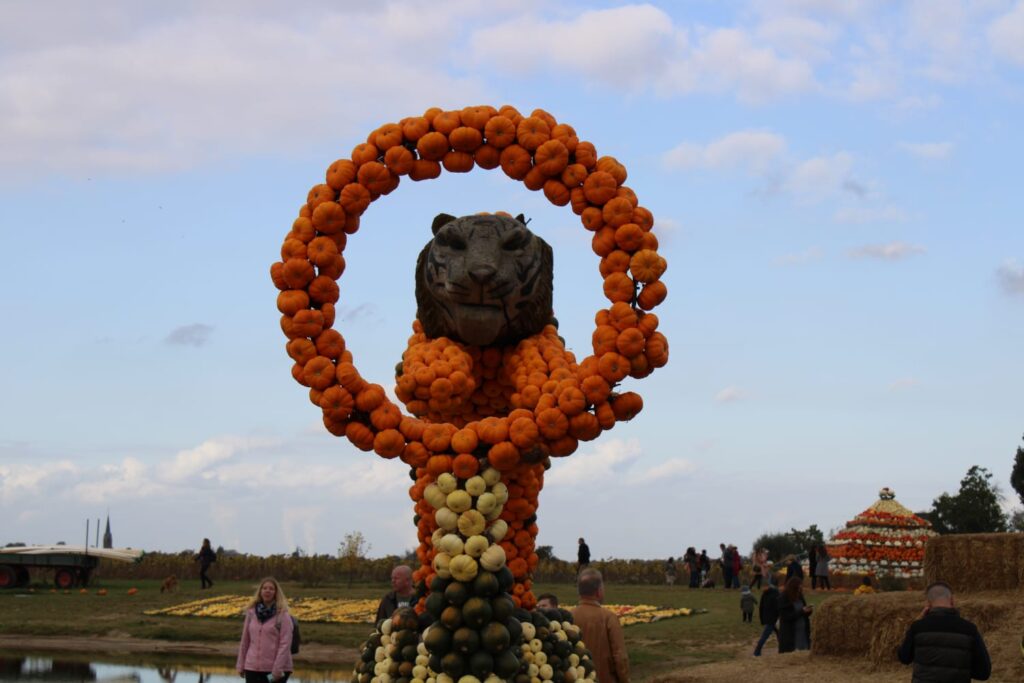 Löwenfigur aus Kürbissen bei der Kürbisschau auf dem Krewelshof in Mechernich-Kommern