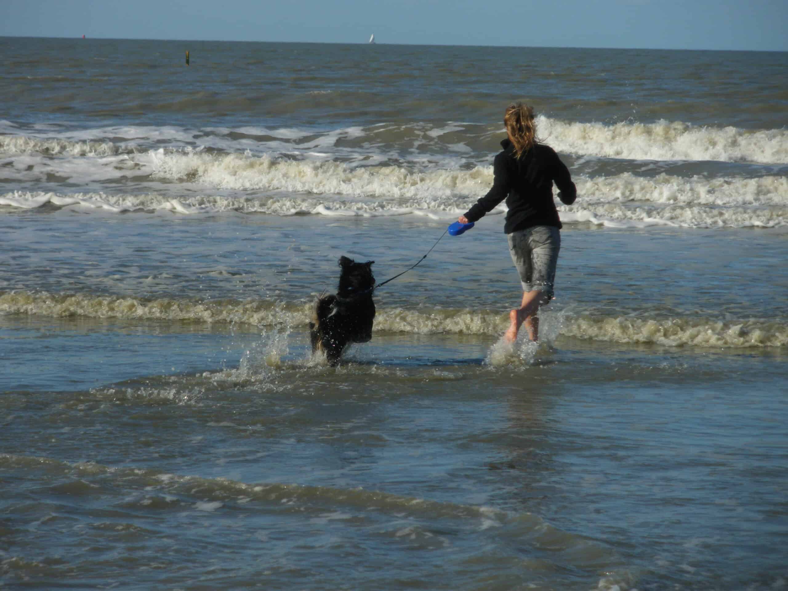 %fil Urlaub mit Hund: Was du wirklich brauchst (Tipps & Checkliste)