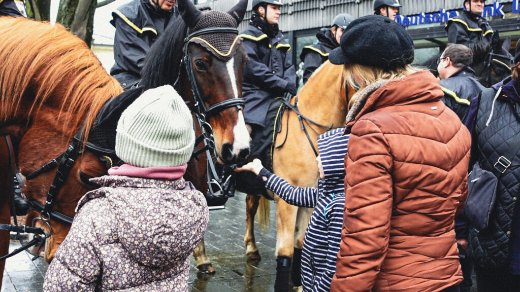 aachener stadtpferde am weihnachtsmarkt