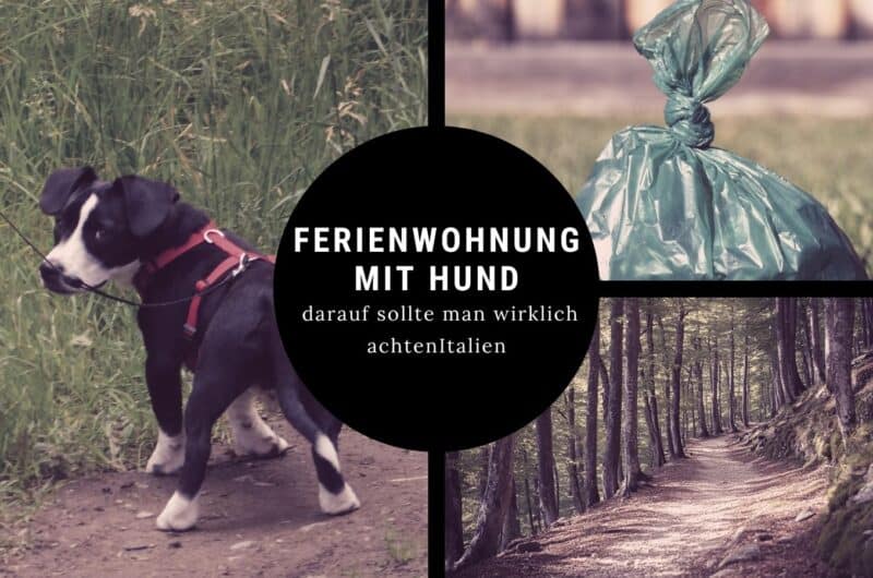 Italien mit Hund: Tipps, Regeln & alles für deinen Urlaub ferienwohnung mit hund tipps checkliste Ferienwohnung mit Hund – wichtige Tipps und Checkliste für den Urlaub mit Hund