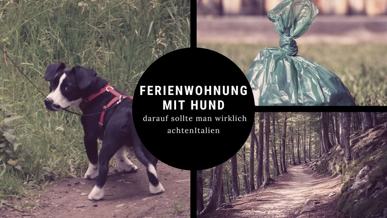 Ferienwohnung mit Hund finden: So klappt der entspannte Urlaub ohne Stress ferienwohnung mit hund tipps checkliste Ferienwohnung mit Hund – wichtige Tipps und Checkliste für den Urlaub mit Hund