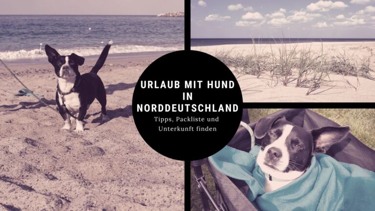 Urlaub mit Hund in Norddeutschland – Tipps, Unterkünfte und Strände