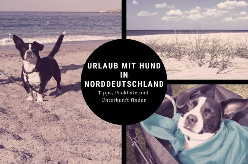 Urlaub mit Hund in Norddeutschland – Tipps, Unterkünfte und Strände
