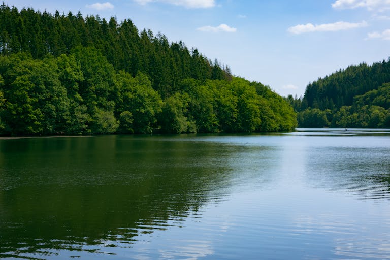 Serene lake surrounded by lush trees in Grevenmacher, Luxembourg, under a bright blue sky.