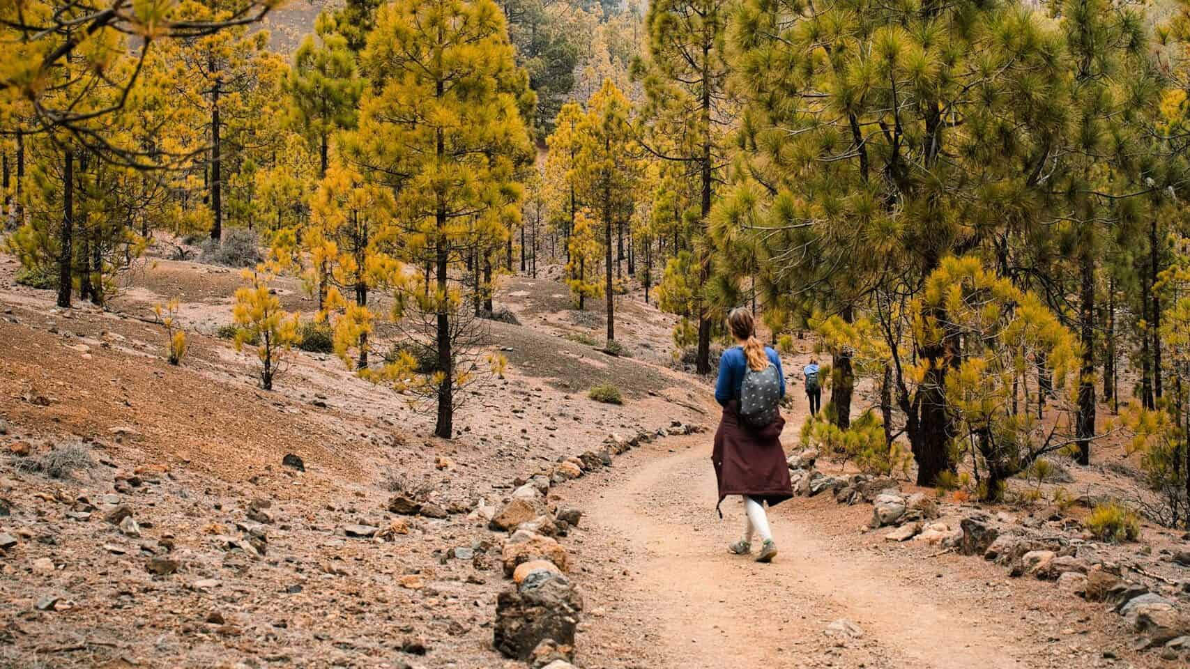 A woman hiking on a scenic trail in Santa Cruz de Tenerife's unique landscape.
