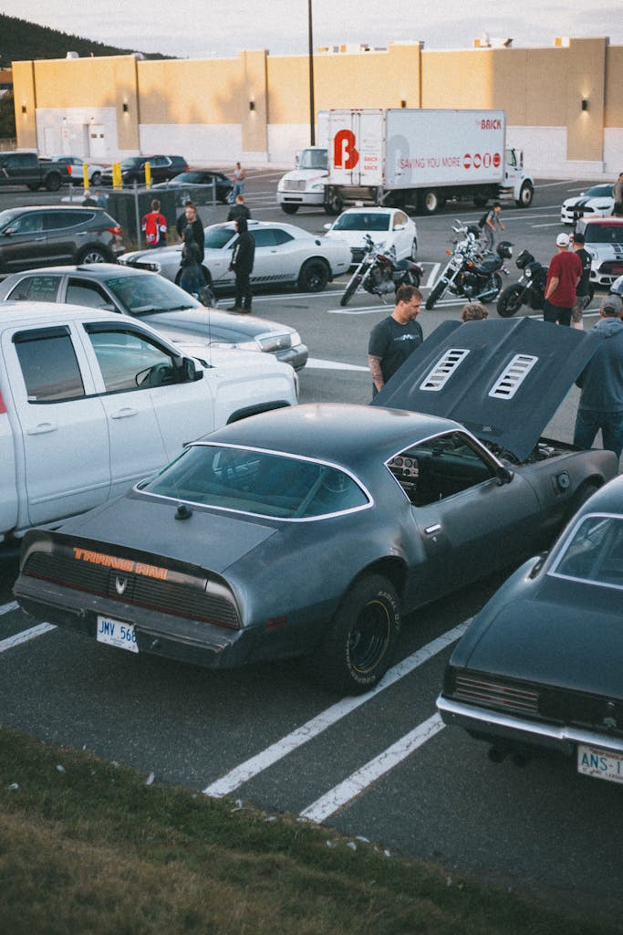 Mietwagen in Italien – Tipps, Versicherung, Kreditkarte & typische Fallen outdoor car meet featuring classic vehicles people and motorbikes on a sunny day. 9331881 Roadtrip Italien – mit Mietwagen flexibel unterwegs