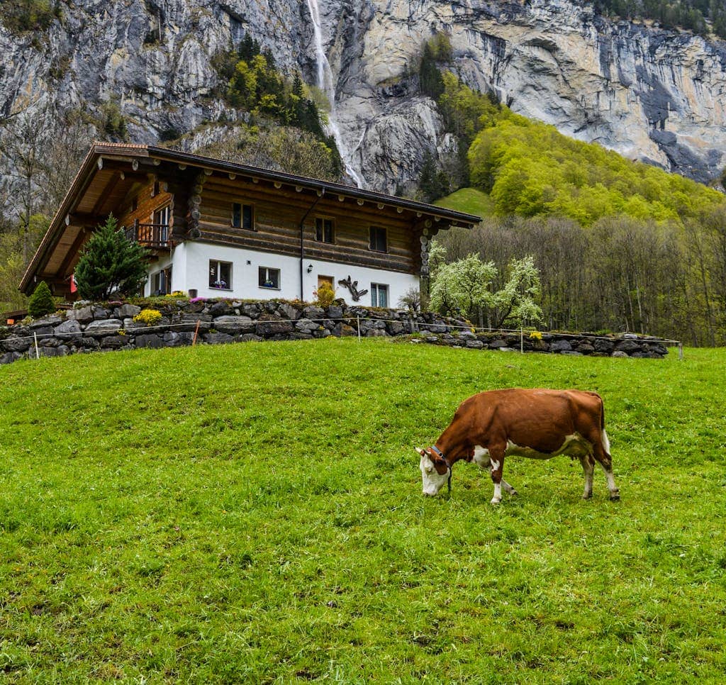 Beste Reisezeit Schweiz