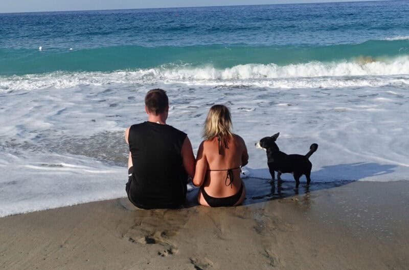 Italien - unsere Erfahrungen, Planung & Tipps urlaub mit hund reisen mit hund 05 scaled edited Camping in Italien mit Hund: Strand-Regeln, Campingplatz-Tipps & Erfahrungen