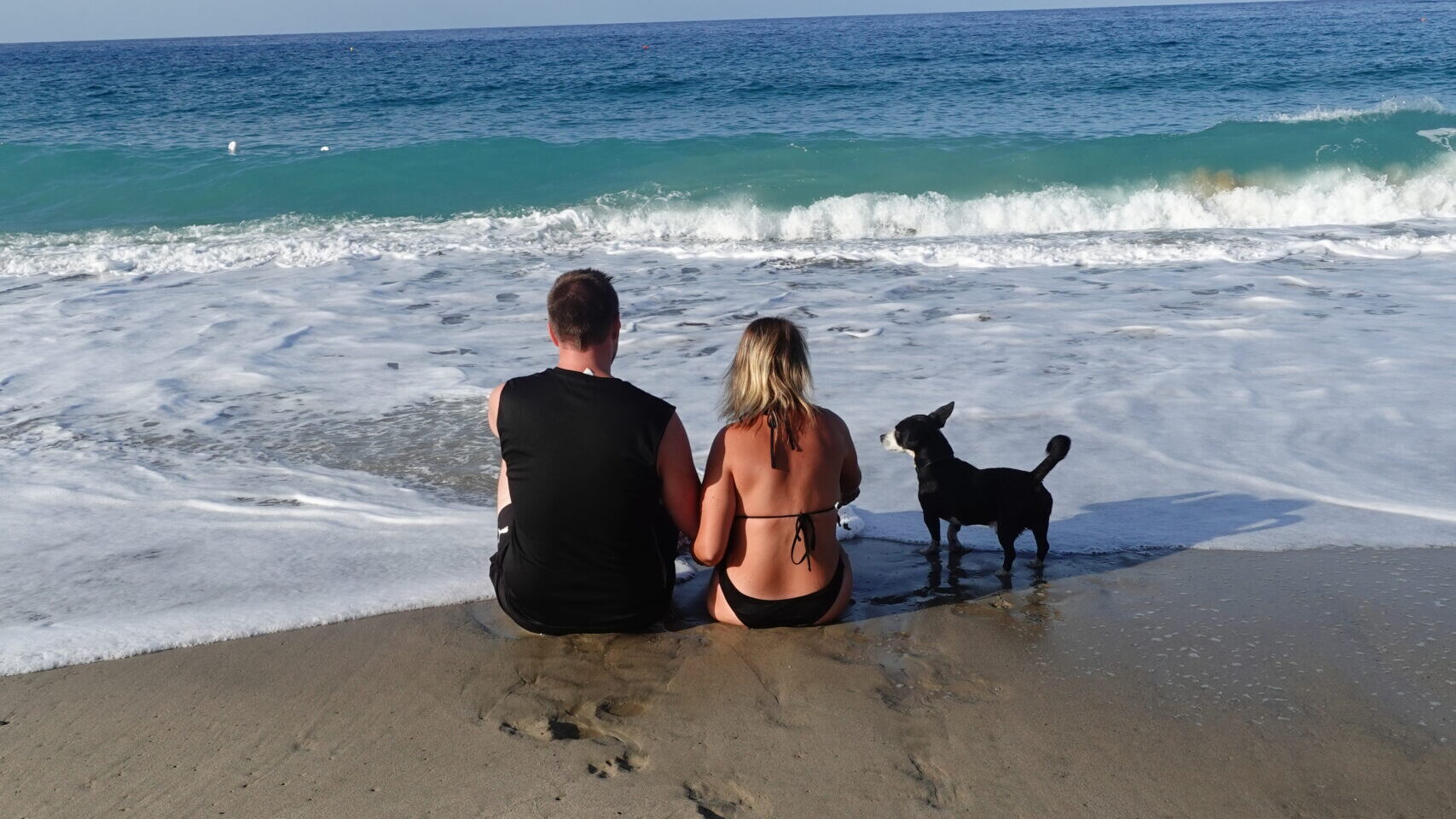 Italienurlaub mit Hund am Strand