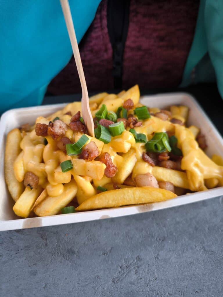 Camping in Burgh-Haamstede: Unsere Tipps für den Familienurlaub in den Niederlanden restaruants in burghaam stede empfehlung Käse-Pommes mit Speck und Frühlingszwiebeln, frisch zubereitet, ideal für Food-Liebhaber.