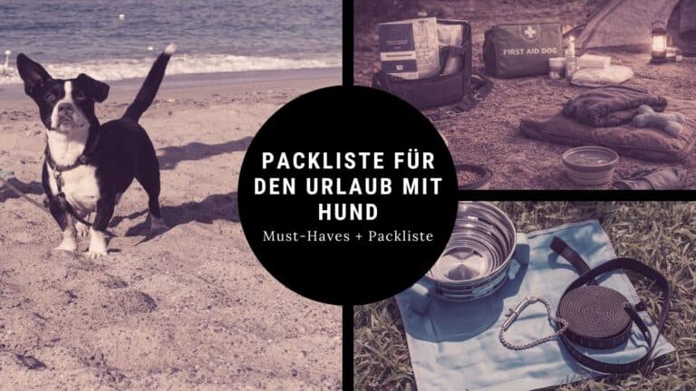 Packliste für den Urlaub mit Hund