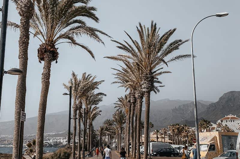 Teneriffa Norden oder Süden