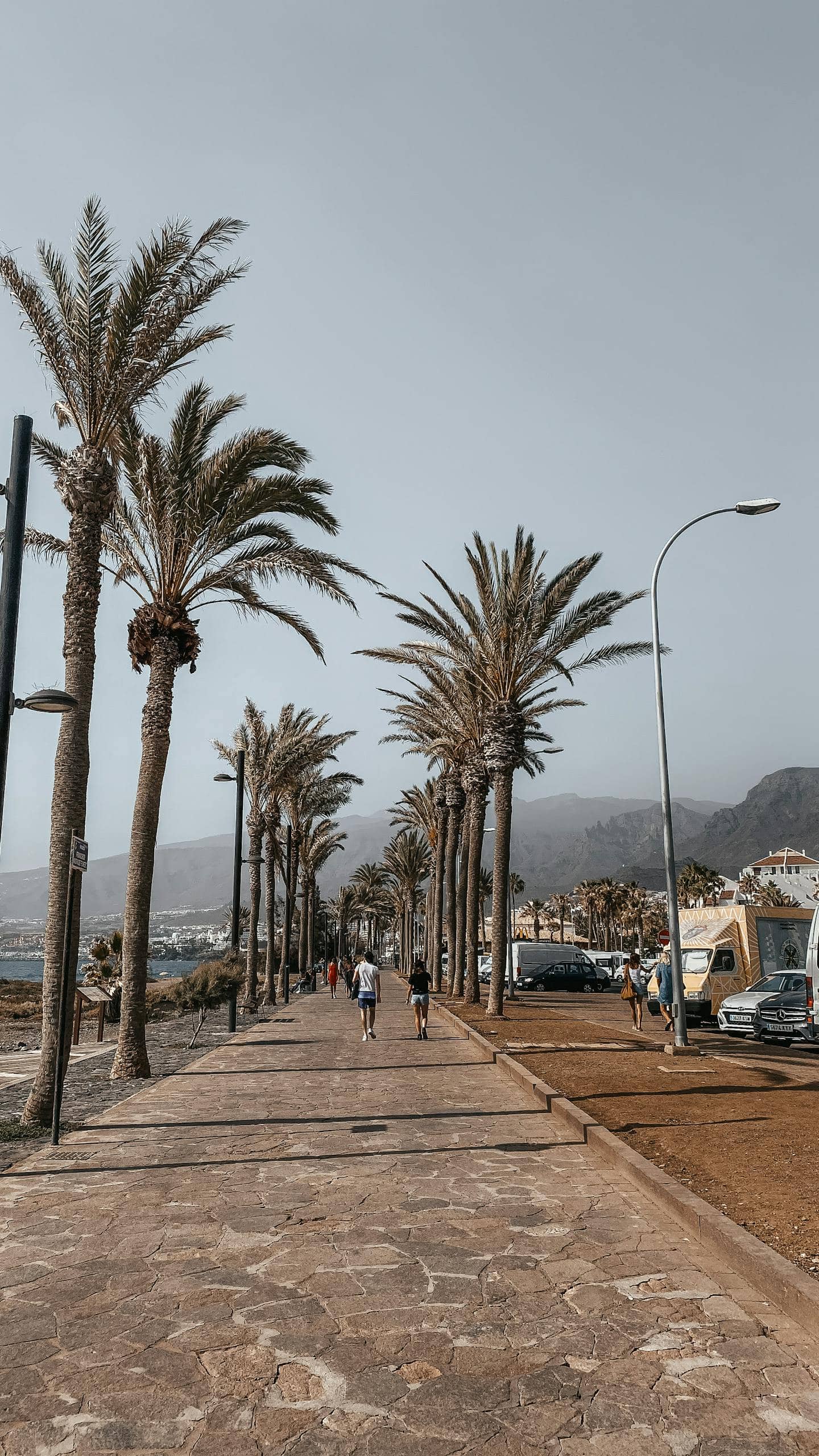 Teneriffa Norden oder Süden – welche Region passt besser? a scenic view of a palm lined pathway with people jogging at sunset. perfect for travel and lifestyle themes. 7949319 scaled Teneriffa Norden oder Süden