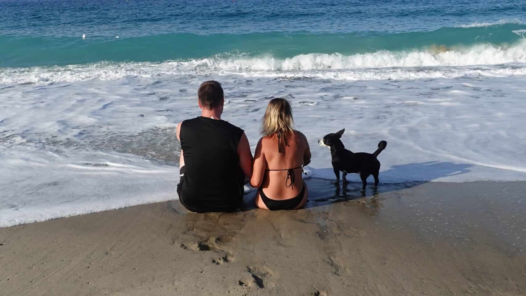 Italienurlaub mit Hund am Strand