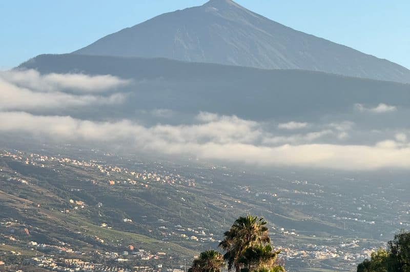 Urlaub auf Teneriffa: Unsere Erfahrungen und Tipps für deine Reise a picturesque drive towards mount teide in tenerife framed by lush greenery and morning clouds. 31167431 Mietwagen auf Teneriffa: Lohnt sich ein Auto wirklich?